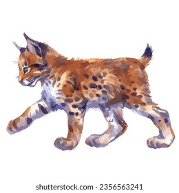 Vector illustration of cute lynx cub.