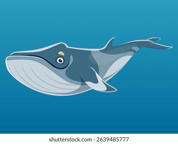Vector illustration of the cute Minke whale on blue background. Side view.
