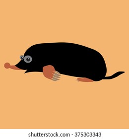 Vector illustration of cute mole on orange background