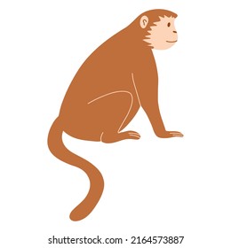 Vector illustration of cute monkey in cartoon flat style isolated on white background. Adorable tropical animal or primate