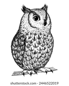 Vector illustration of a cute owl sitting on a branch in engraving style