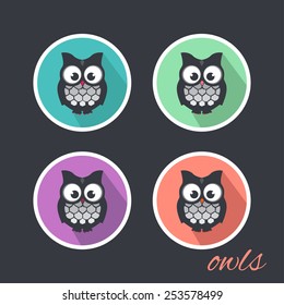 Vector Illustration of Cute Owls. Cartoon birds in blue, purple, pink and green circle.