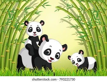 vector illustration of cute panda in a bamboo forest