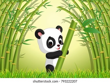 vector illustration of cute panda in a bamboo forest
