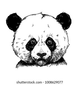 Vector illustration of a cute panda. Hand drawn graphic, kid print.