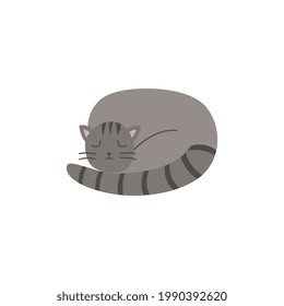 Vector illustration of a cute pet. The cat is sleeping cosy. Flat cartoon illustration isolated on a white background.