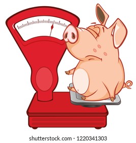 Vectores Imagenes Y Arte Vectorial De Stock Sobre Pig On Scale - 