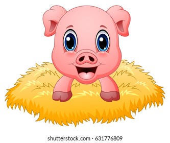 Vector illustration of Cute pig cartoon in the nest