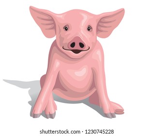 A vector illustration of a cute pig sitting on its haunches