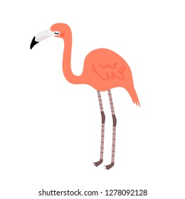 vector illustration of cute pink flamingo in cartoon style on white background