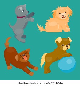 Vector illustration cute playing dogs characters funny purebred puppy comic happy mammal breed