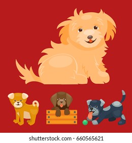Vector illustration cute playing dogs characters funny purebred puppy comic happy mammal breed