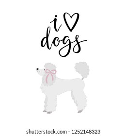 Vector illustration with cute poodle and text I love dogs.