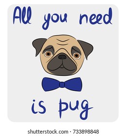 Vector illustration of a cute pug with a bow tie and a phrase "All you need is pug".