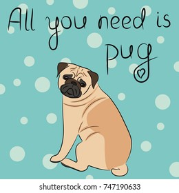 Vector illustration of a cute pug and a phrase "All you need is pug" on a blue background.