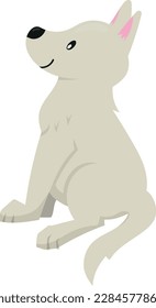 Vector illustration of cute puppy in flat style. Isolated on white. Swiss shephard. Illustration in childish style.