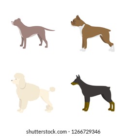 Vector illustration of cute and puppy icon. Collection of cute and animal stock symbol for web.