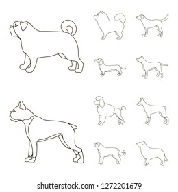 Vector illustration of cute and puppy icon. Collection of cute and animal stock vector illustration.