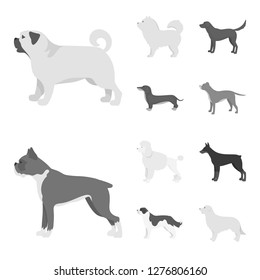 Vector illustration of cute and puppy icon. Set of cute and animal stock symbol for web.