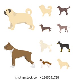 Vector illustration of cute and puppy sign. Collection of cute and animal stock symbol for web.