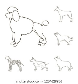 Vector illustration of cute and puppy sign. Collection of cute and animal stock vector illustration.