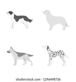 Vector illustration of cute and puppy sign. Set of cute and animal stock vector illustration.