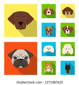 Vector illustration of cute and puppy symbol. Set of cute and animal vector icon for stock.