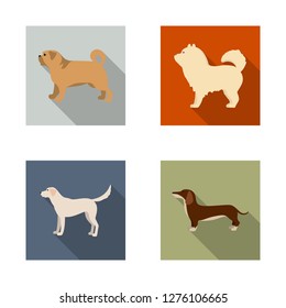 Vector illustration of cute and puppy symbol. Set of cute and animal stock vector illustration.