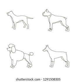 Vector illustration of cute and puppy symbol. Collection of cute and animal vector icon for stock.