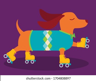 Ilustración vectorial de un adorable y peculiar perro limpiador dachshund que lleva un suéter y una corbata de arco y patinaje sobre ruedas 