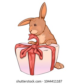 vector illustration Cute Rabbit and gift on a white background