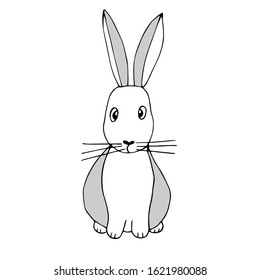 Vector illustration of a cute rabbit in white and gray colors