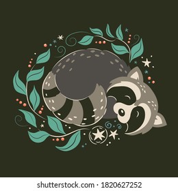 Vector illustration of cute raccoon in winter sleep. Picture for Christmas decoration