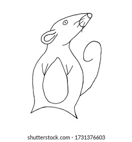 Vector illustration with a cute rat. Pet cute Rat.