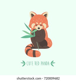 Vector illustration cute red panda.