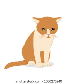 Vector Illustration Of Cute Sad Cat. Sitting Small Gloomy homeless kitten. Cartoon Vector Illustration.