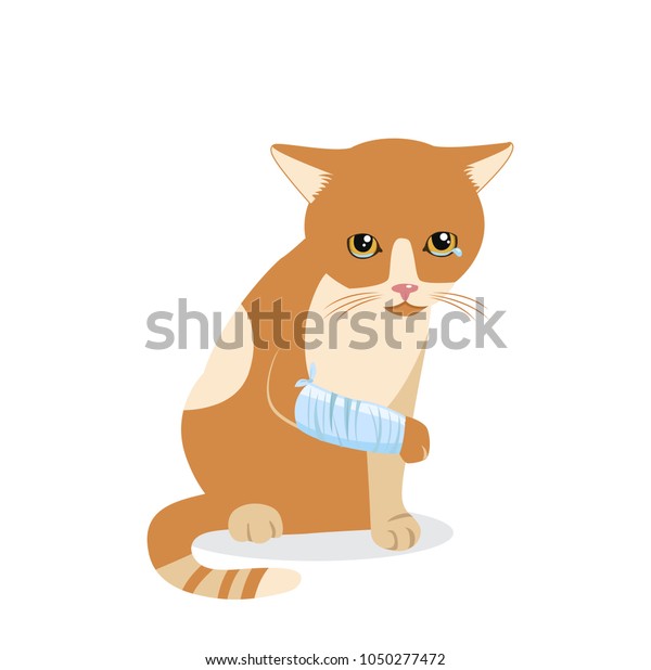 Vector Illustration Cute Sad Cat Cry Stock Vector (Royalty Free) 1050277472