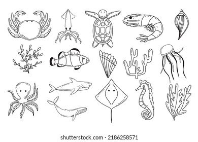 Vector illustration of cute sea animals. Vector set of sea animals. Dolphin, shark, whale, turtle, octopus, crab, jellyfish. Vector illustration. Doodle style.