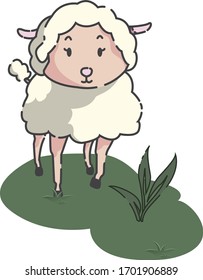 vector illustration cute sheep, cute animal