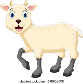 Vector illustration of cute sheep cartoon isolated on white background