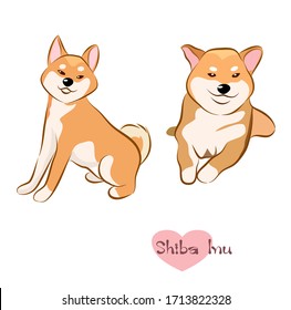 Vektorillustration Illustration von süßem Shiba inu.Hand auf weißem Hintergrund.