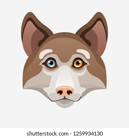 Vector illustration of cute siberian husky with heterochromia eyes.