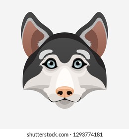 Vector illustration of cute siberian husky with blue eyes.