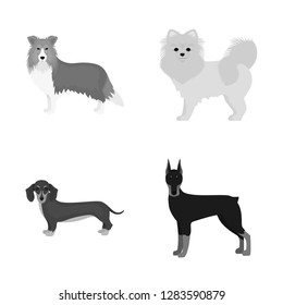 Vector illustration of  cute  and  sign. Set of  cute  and  stock vector illustration.