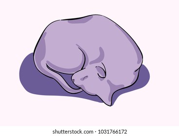 Vector illustration of the cute sleeping cat