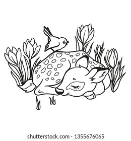 Vector illustration with cute sleeping deer with a blue bird and with flowers. Isolated on white background. Outlined for coloring book.