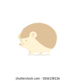Ilustración vectorial de un lindo pequeño erizo. aislado en fondo blanco