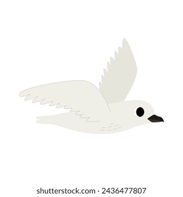 Vector illustration of cute snow petrel bird isolated on white background.