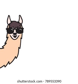 Vector illustration of cute south American lama head in trendy glasses. Isolated outline cartoon baby llama face. Hand drawn Peru animal guanaco, alpaca, vicuna. Drawing for print, fabric etc