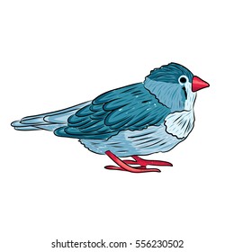 vector illustration of a cute sparrow in blue and red colors. EPS